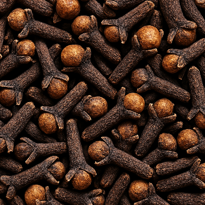 Clove Soap