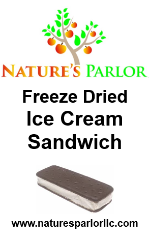 Freeze Dried Ice Cream Sandwich